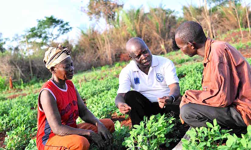 22 May 2012, Dangala, Central African Republic - Farmer Field School (FFS) facilitator Samson Dangaza (center) discussing with local farmers the outcome of an improved peanut cultivation.