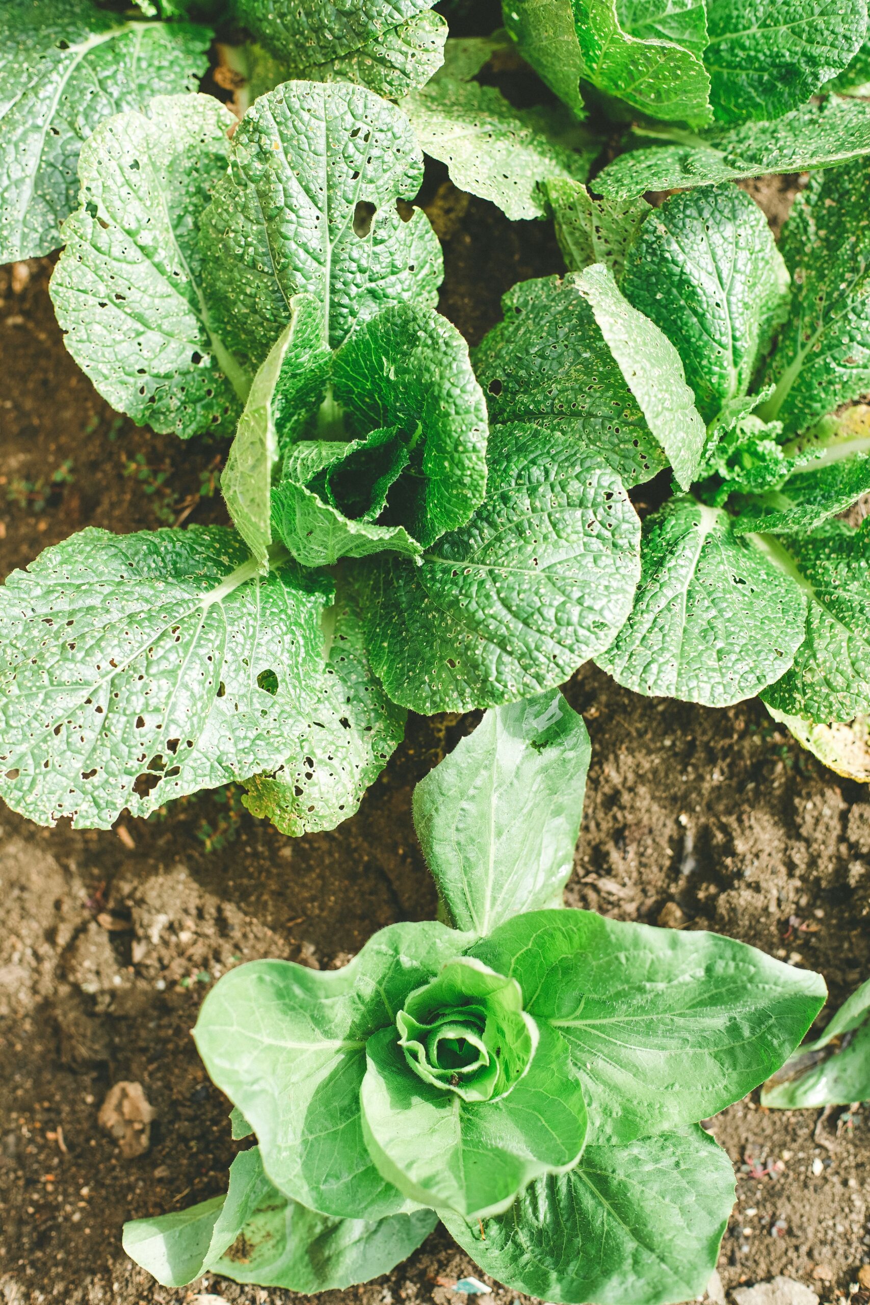 Hello World Featured Image